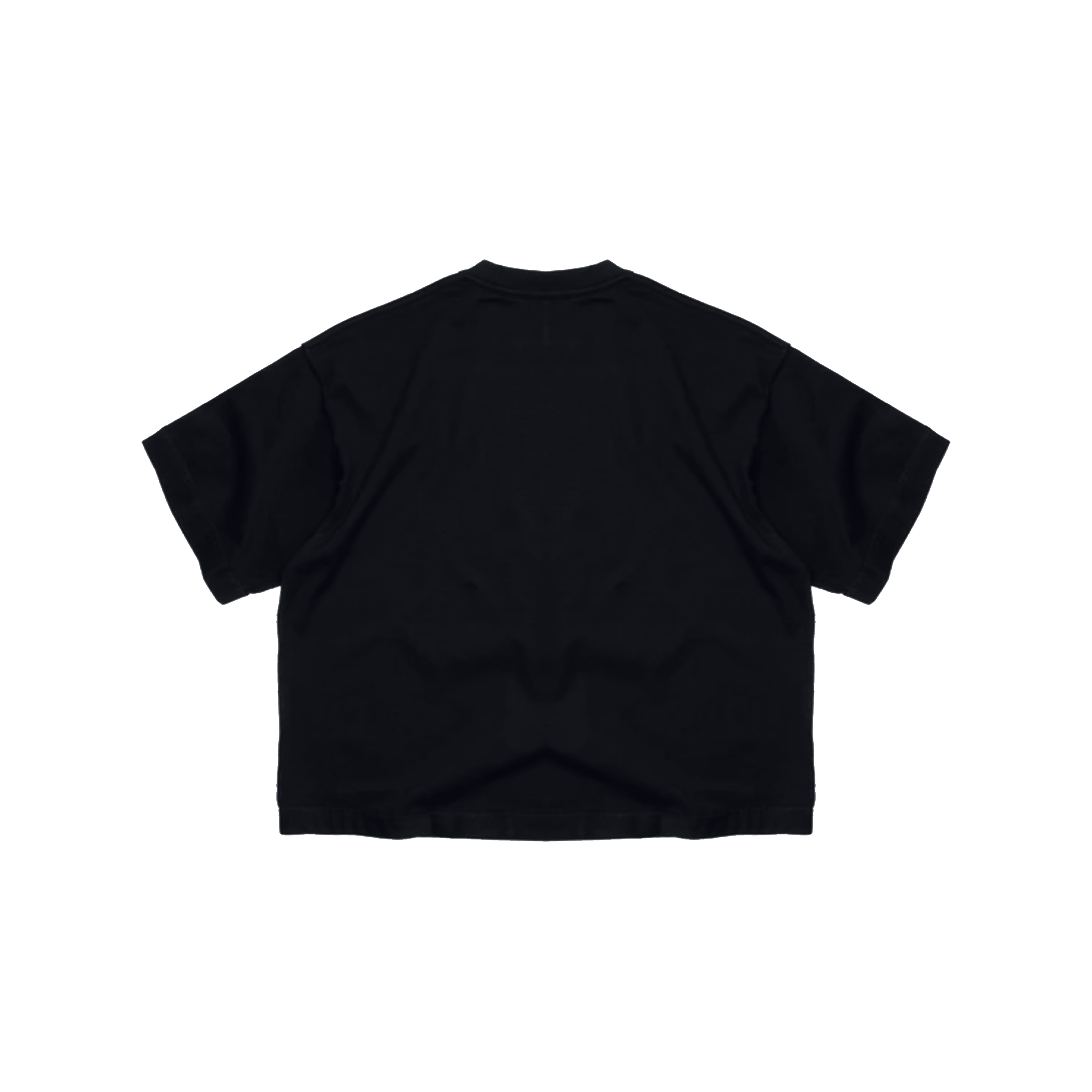 DRAGONITE VINTAGE TEE